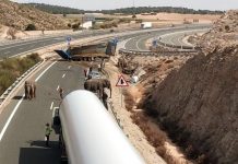 Caminhão de circo capota com cinco elefantes em estrada
