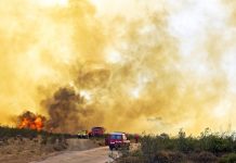Operação Corta Fogo conscientiza motoristas e visa redução de incêndios às margens de rodovias