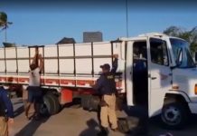 Motorista é detido ao transportar mais de 1 milhão de cigarros contrabandeados