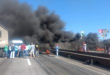 Greve de caminhoneiros afeta atividades em 129 unidades produtoras de carnes