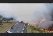 Queimada na beira da rodovia coloca motoristas em risco. (Foto: Reprodução CCR Autoban)