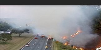 Queimada na beira da rodovia coloca motoristas em risco. (Foto: Reprodução CCR Autoban)
