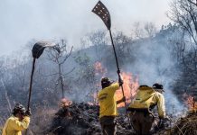 Entrevias soma 177 casos de incêndios entre Florínea e Borborema