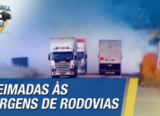 Queimadas às margens de rodovias podem ser risco à vida dos motoristas | Segurança é Aqui