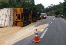 Caminhão com cevada tomba em trecho da BR-393 em Barra do Piraí cevada