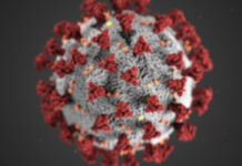 coronavirus