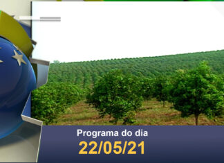 Made in Brasil: O Transporte do Suco de Laranja, da Roça para o Exterior.