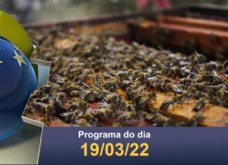 TRANSPORTE DE ABELHAS