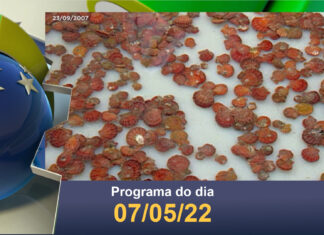 “Memórias do BRC”: Um passeio curioso pelo projeto pomar, em Paraty, no RJ!