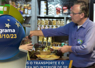 Cultura e cultivo da alcachofra em São Roque/SP Cultivo da Alcachofra