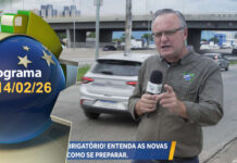 Seguro obrigatório: Entenda as novas regras