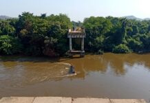 Ponte desaba no Mato Grosso do Sul e caminhoneiro morre: quem fiscaliza as pontes das rodovias brasileiras?